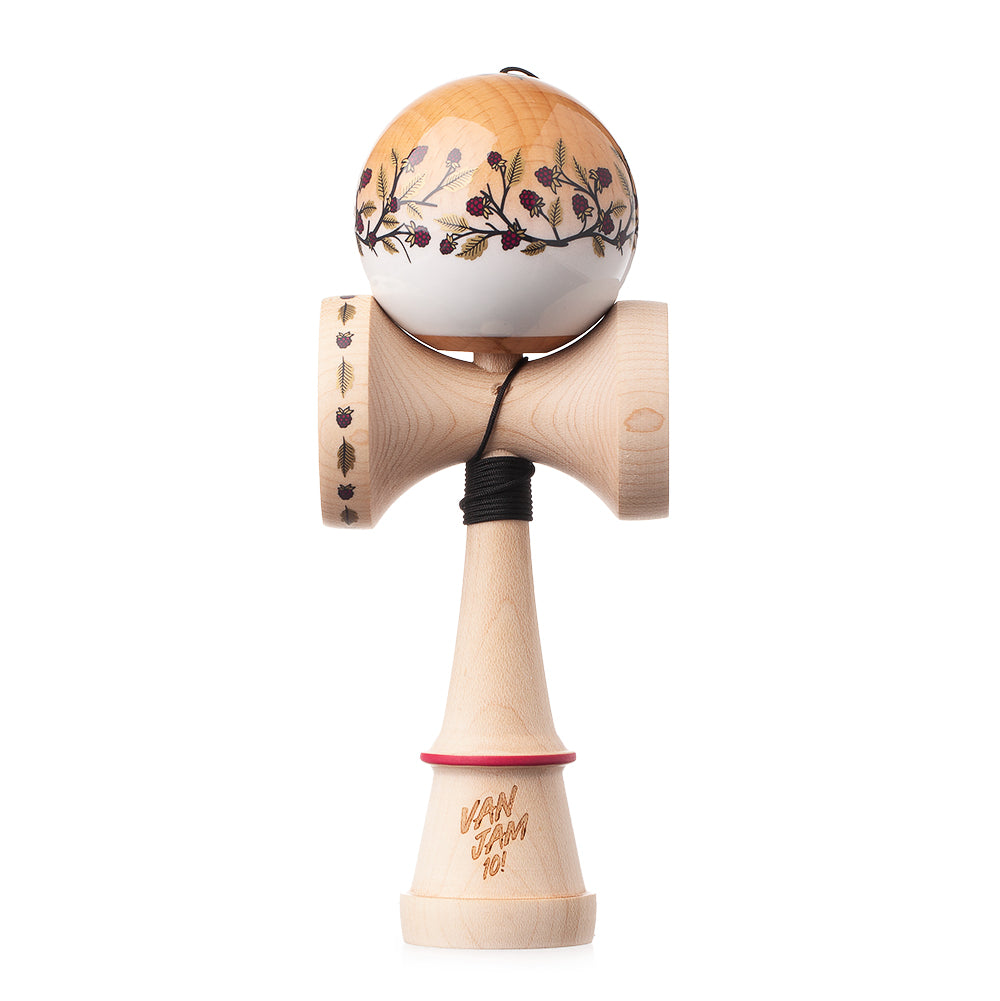 Limited Edition - Van Jam 10 - Gyro